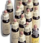 homeopatia